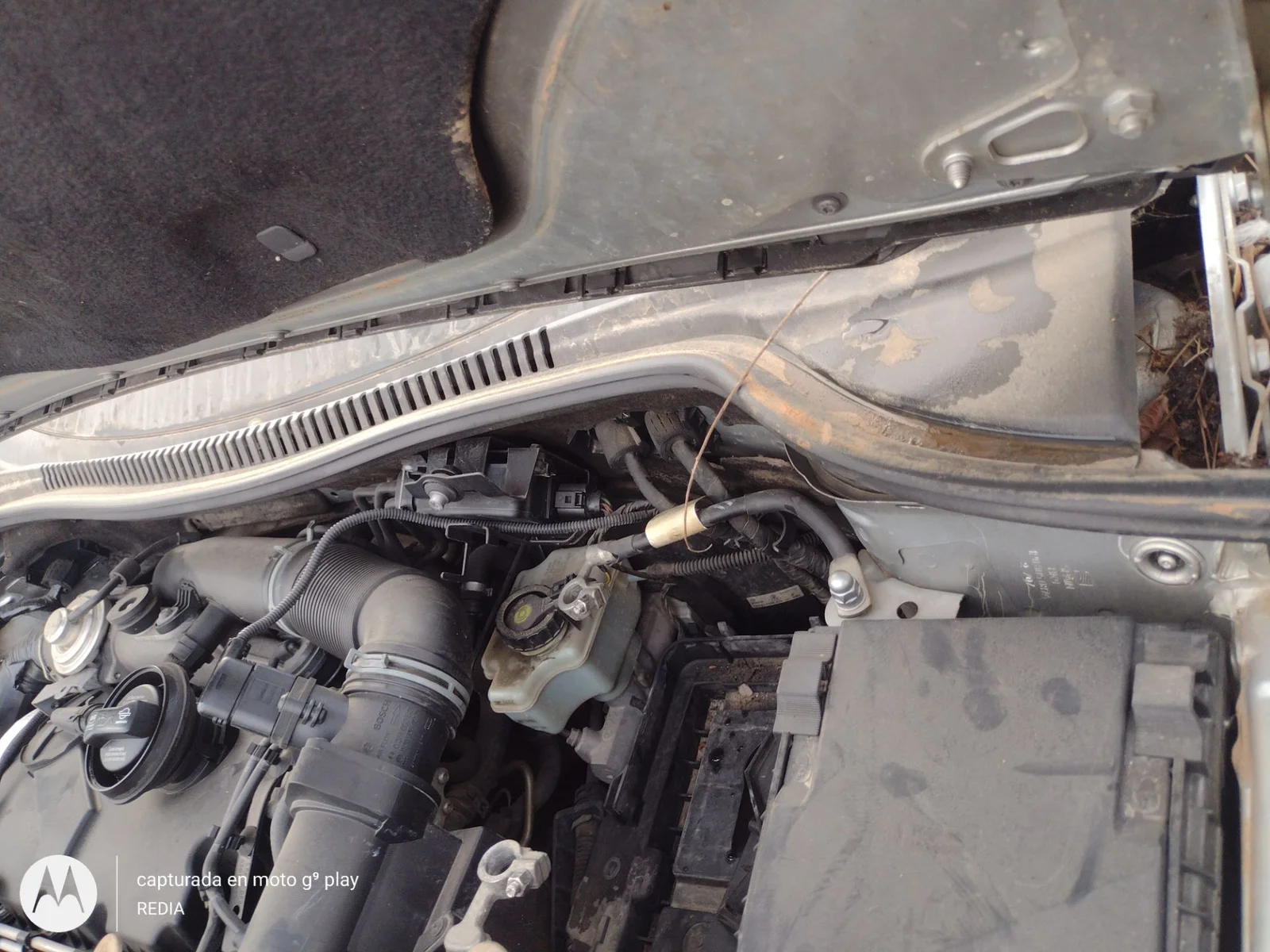 Foto de TORPEDO SEAT LEON (1P1) 1.9 TDI (105 CV / 77 KW)