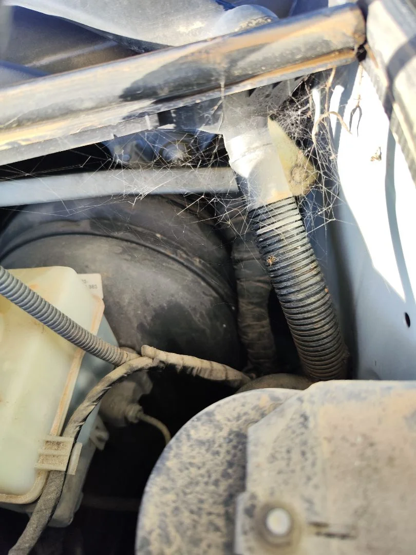 Foto de SERVOFRENO LAND ROVER RANGE ROVER (LM) 4.4 V8 CAT (306 CV / 225 KW)