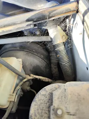 Foto de SERVOFRENO LAND ROVER RANGE ROVER (LM) 4.4 V8 CAT (306 CV / 225 KW)