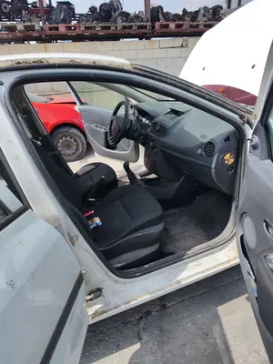 Foto de GOMAS CONTORNO PUERTA RENAULT CLIO III 1.2 16V (75 CV / 55 KW)