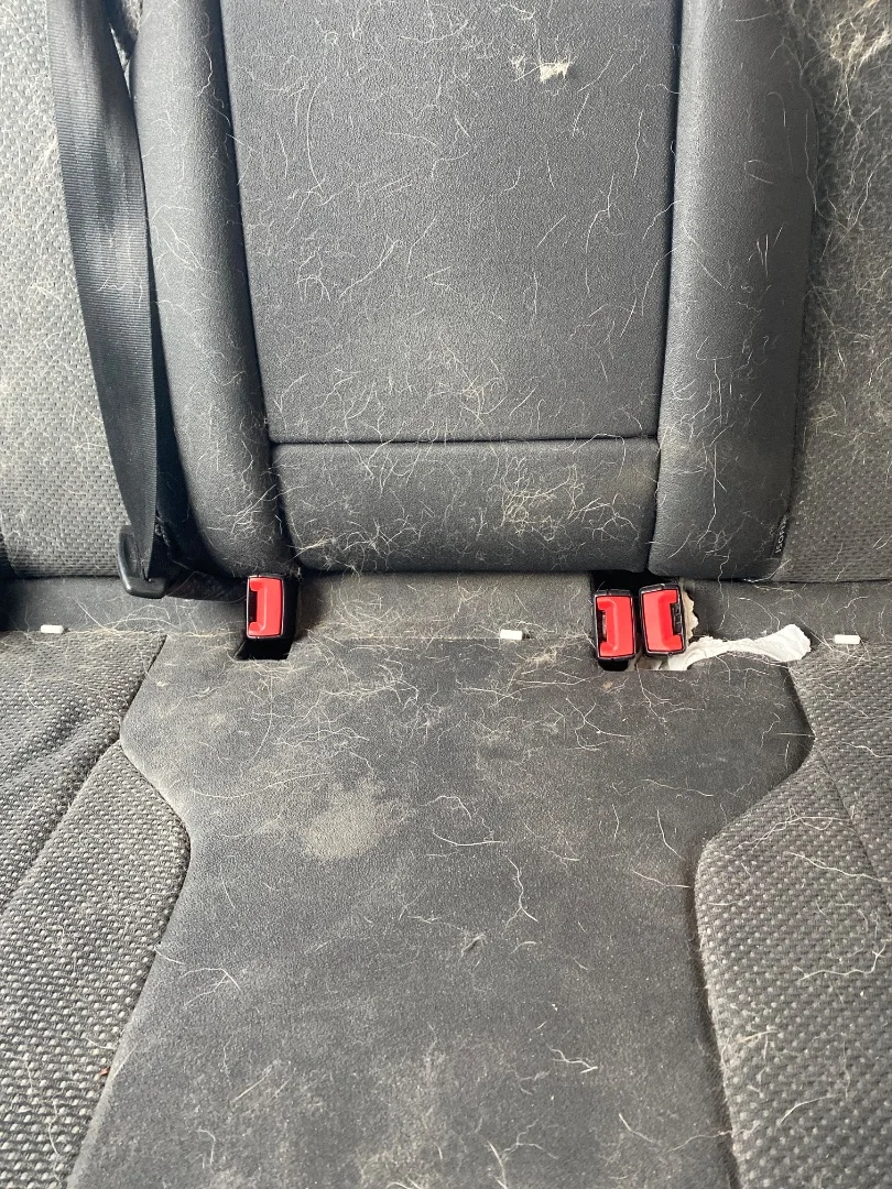 Foto de ENGANCHE CINTURON TRASERO DERECHO VOLKSWAGEN PASSAT BERLINA (3C2) 2.0 TDI (140 CV / 103 KW)