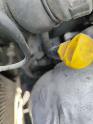 Foto de ALTERNADOR CITROEN BERLINGO FURGÓN 1.6 16V HDi FAP (90 CV / 66 KW)
