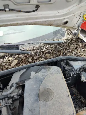 Foto de MOTOR LIMPIA DELANTERO RENAULT CLIO III 1.2 16V (75 CV / 55 KW)