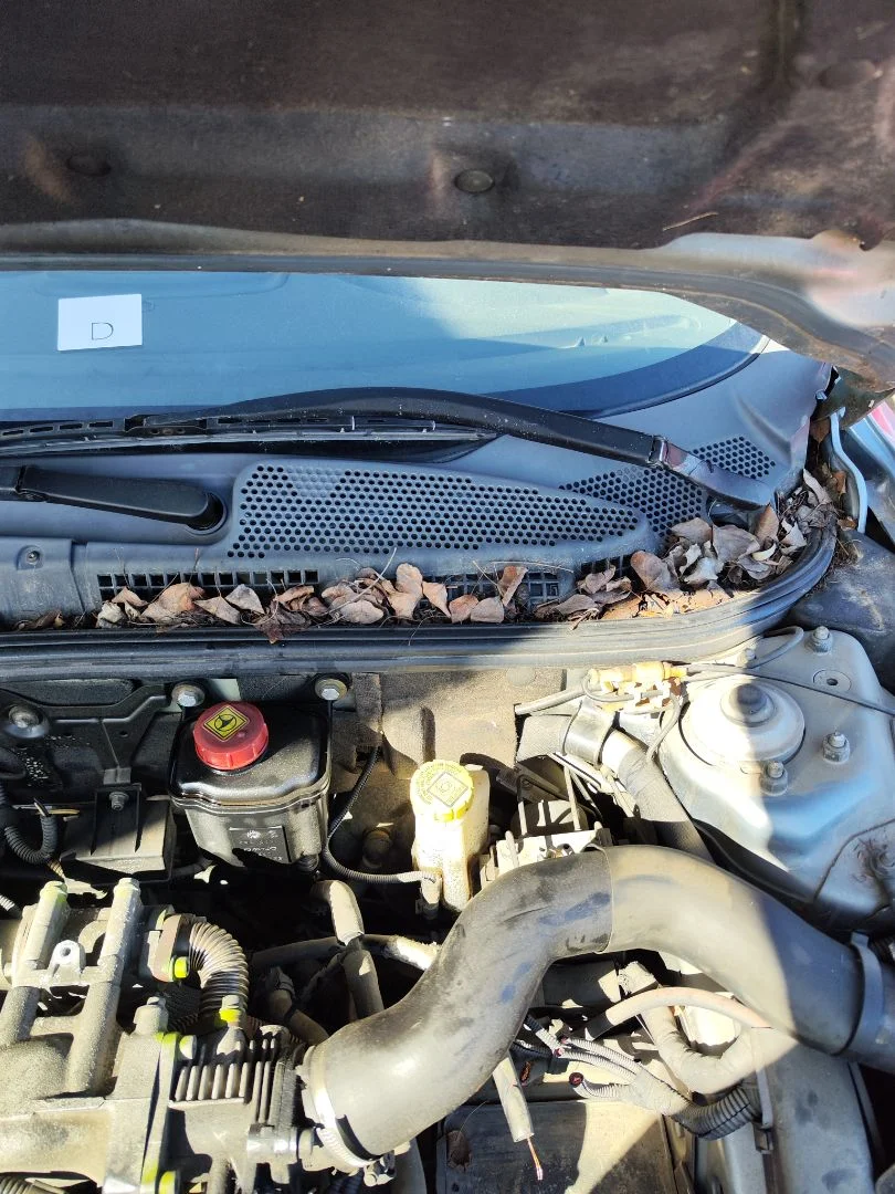 Foto de BRAZO LIMPIA DELANTERO IZQUIERDO ALFA ROMEO 147 (190) 1.9 JTD CAT (110 CV / 81 KW)