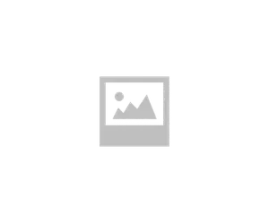 Foto de BIELETA ESTABILIZADORA DELANTERA DERECHA RENAULT MEGANE II BERLINA 5P 1.4 16V (98 CV / 72 KW) referencia 546181925R foto 32