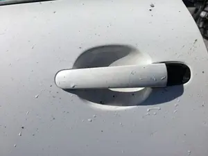 Foto de MANETA EXTERIOR TRASERA IZQUIERDA SEAT ALTEA (5P1) 1.6 TDI (105 CV / 77 KW)