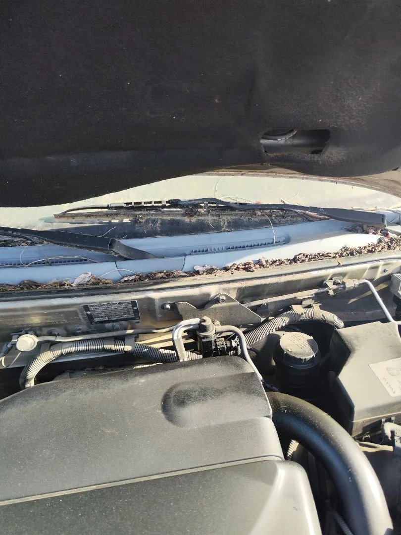 Foto de ARTICULACION LIMPIA DELANTERA VOLVO S40 BERLINA 1.9 Diesel CAT (116 CV / 85 KW)