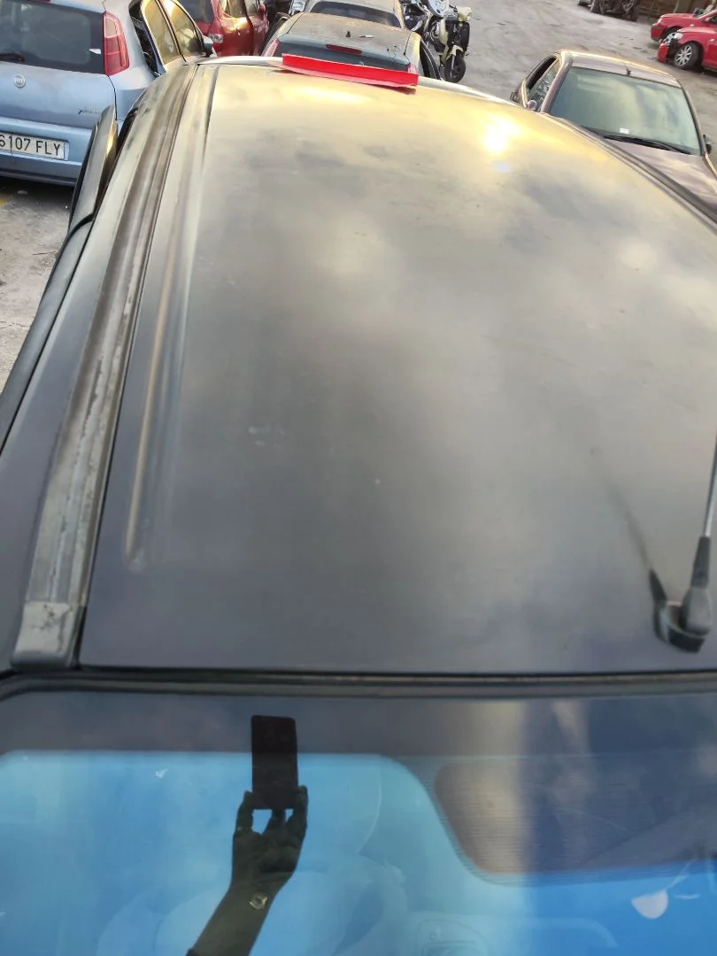 Foto de TECHO RENAULT SCENIC I (JA...) 1.4 CAT (95 CV / 70 KW) referencia 7751474461