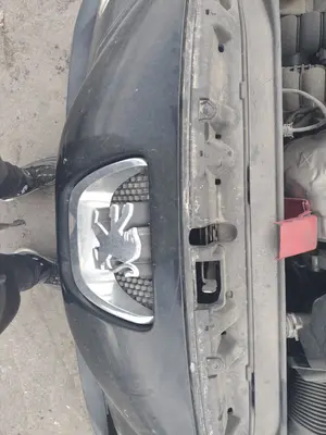 Foto de PANEL FRONTAL PEUGEOT 308 1.6 16V HDi (90 CV / 66 KW)