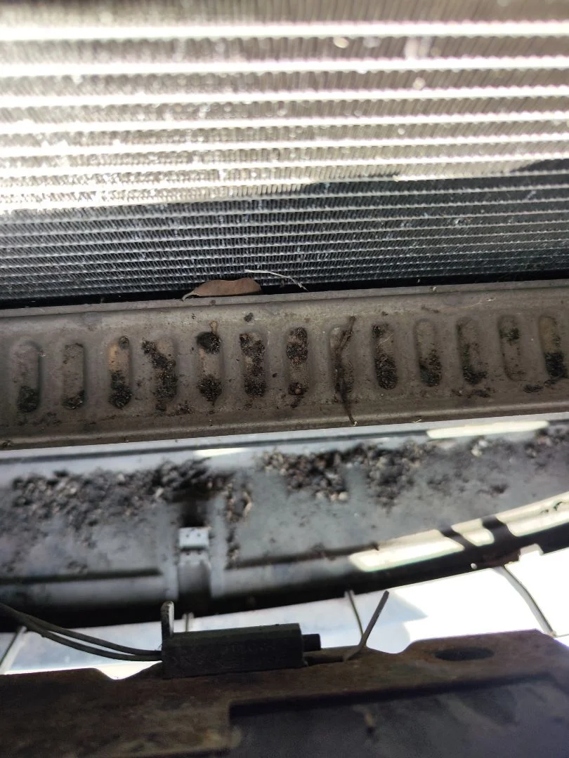 Foto de INTERCOOLER FORD FOCUS BERLINA (CAP) 1.8 TDCi Turbodiesel CAT (116 CV / 85 KW)