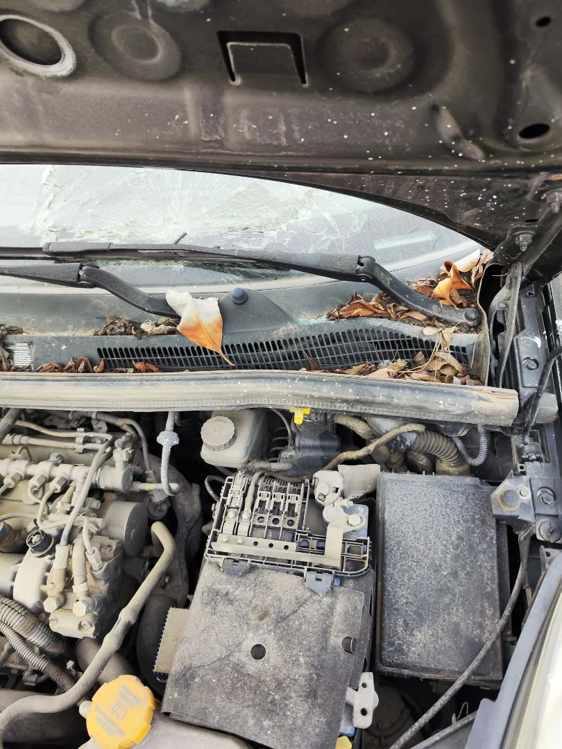 Foto de BRAZO LIMPIA DELANTERO IZQUIERDO OPEL CORSA D 1.3 16V CDTI (75 CV / 55 KW)