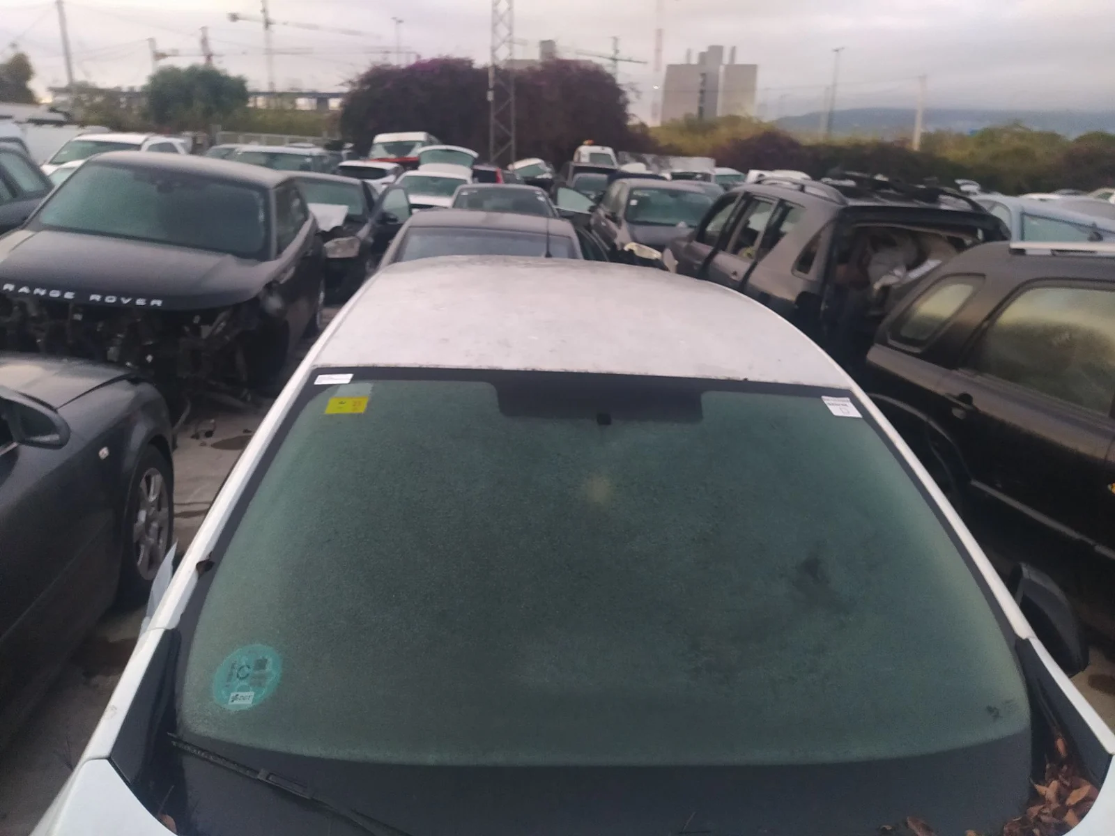 Foto de TORPEDO RENAULT MEGANE III BERLINA 5P 1.6 16V CAT (101 CV / 74 KW) referencia 668110003R