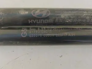 Foto de AMORTIGUADORES MALETERO / PORTON HYUNDAI I20 (GB) 1.2 16V CAT (84 CV / 62 KW) referencia 81770C8010 foto 2