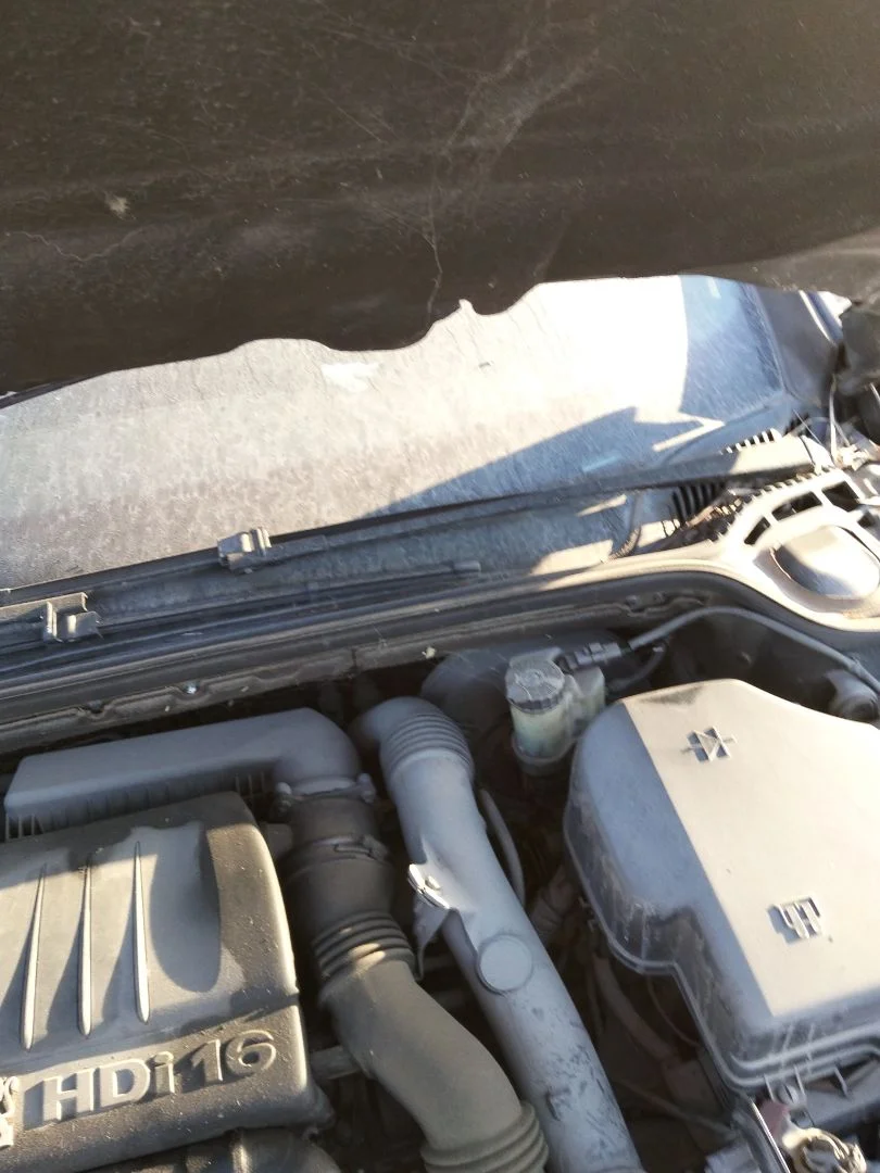 Foto de BRAZO LIMPIA DELANTERO IZQUIERDO PEUGEOT 407 1.6 HDi FAP CAT (9HZ / DV6TED4) (109 CV / 80 KW) referencia 6429X4