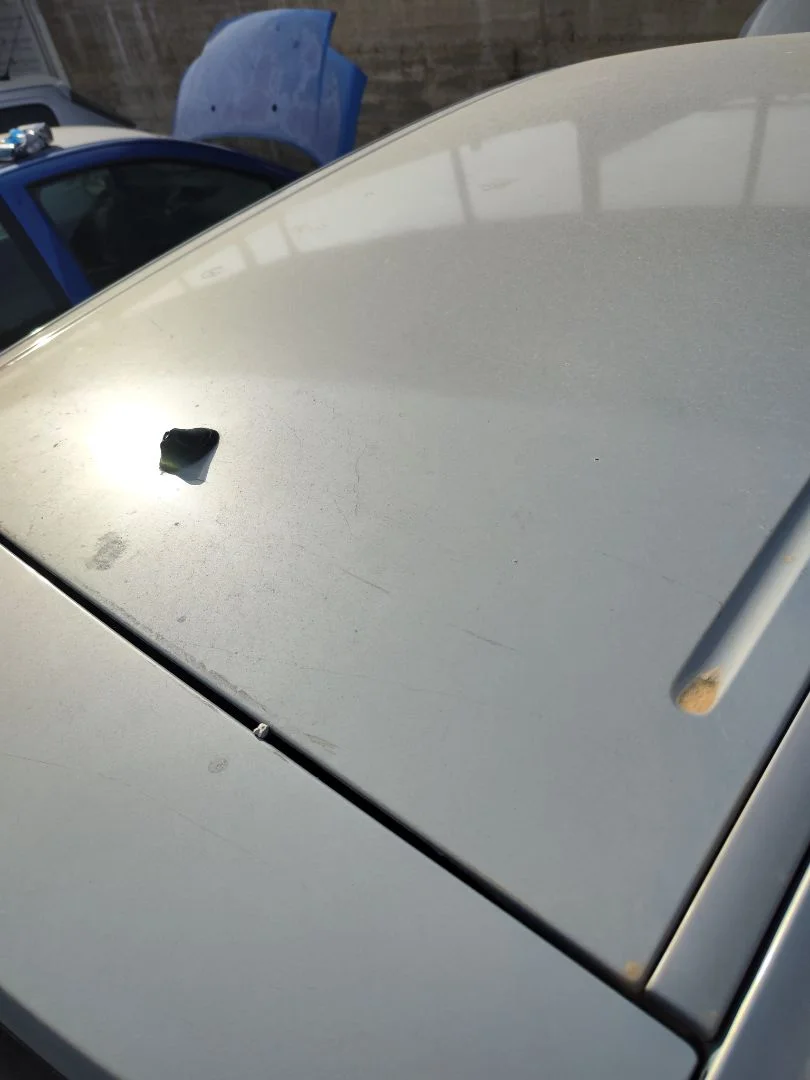 Foto de TECHO RENAULT SCENIC II (JM) 1.9 dCi Diesel (120 CV / 88 KW) referencia 7751475561