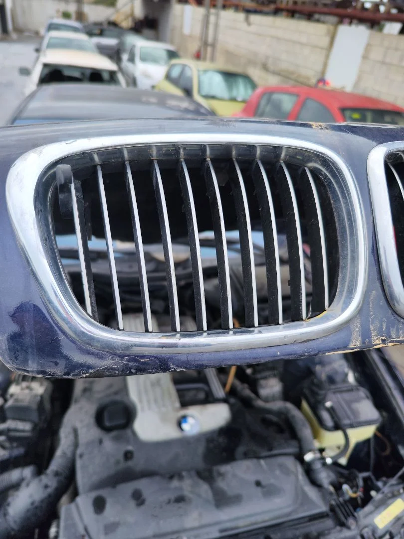 Foto de REJILLA DELANTERA BMW SERIE 5 BERLINA (E39) 3.0 24V Turbodiesel CAT (193 CV / 142 KW)
