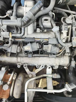 Foto de BOBINA ENCENDIDO VOLKSWAGEN GOLF V (1K1)(10.2003) 1.4 16V TSI (170 CV / 125 KW)