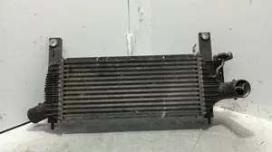 Foto de INTERCOOLER NISSAN PATHFINDER (R51) 2.5 dCi Diesel CAT (171 CV / 126 KW) referencia 14461EB360 foto 4