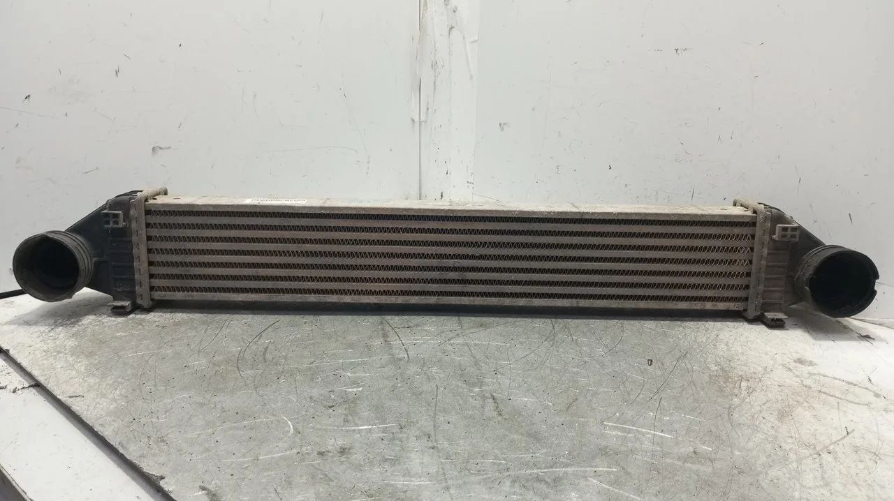 Foto de INTERCOOLER MERCEDES-BENZ CLASE A (BM 169) 2.0 CDI CAT (82 CV / 60 KW) referencia A1695000000