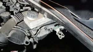 Foto de SERVOFRENO CITROEN C4 COUPE 1.6 HDi CAT (9HY / DV6TED4) (109 CV / 80 KW) referencia 9648368980