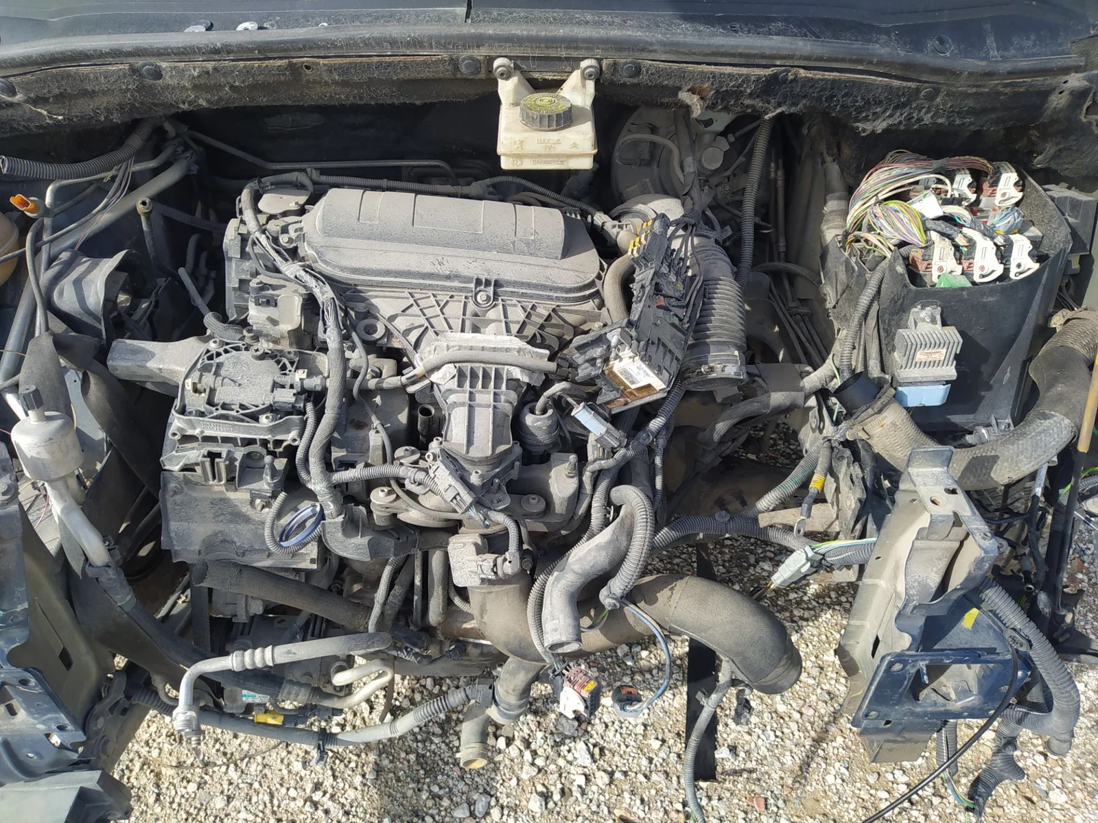 Foto de CABLEADO ELECTRICO CITROEN C4 PICASSO 2.0 HDi FAP (150 CV / 110 KW)