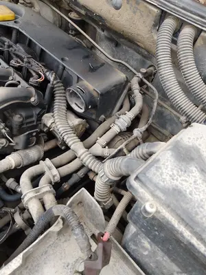 Foto de CABLEADO ELECTRICO LAND ROVER FREELANDER (LN) 2.0 Td4 CAT (112 CV / 82 KW)