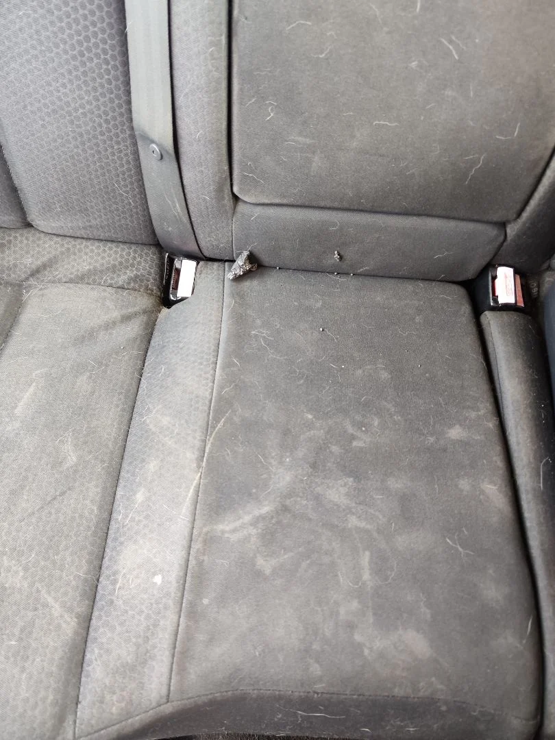 Foto de ENGANCHE CINTURON TRASERO CENTRAL RENAULT MEGANE II BERLINA 3P 1.9 dCi Diesel (120 CV / 88 KW)