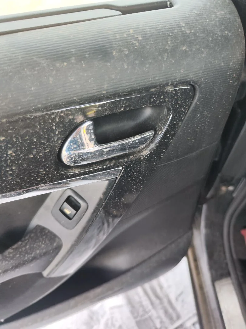 Foto de MANETA INTERIOR TRASERA IZQUIERDA CITROEN GRAND C4 PICASSO 1.6 16V HDi FAP (109 CV / 80 KW) referencia 9319AN