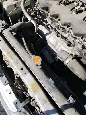Foto de RADIADOR AGUA NISSAN ALMERA TINO (V10M) 1.8 16V CAT (114 CV / 84 KW) referencia 21460BU703