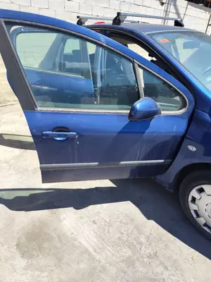 Foto de PUERTA DELANTERA DERECHA PEUGEOT 307 BERLINA (S2) 1.4 16V CAT (KFU / ET3J4) (88 CV / 65 KW) foto 2
