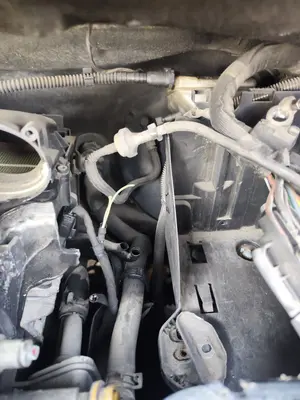 Foto de SERVOFRENO CITROEN GRAND C4 PICASSO 1.6 16V HDi FAP (109 CV / 80 KW) referencia 1611244280