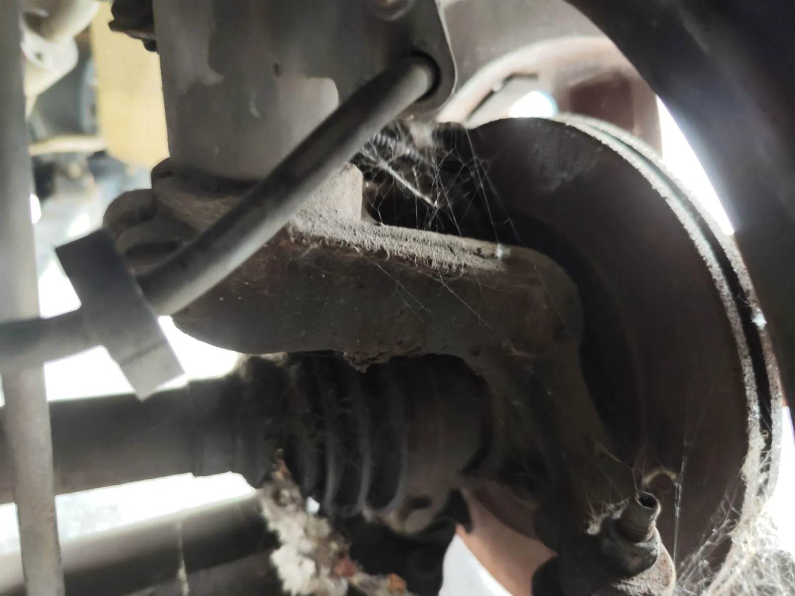 Foto de MANGUETA DELANTERA DERECHA PEUGEOT 207 1.4 16V CAT (KFU / ET3J4) (88 CV / 65 KW) referencia 1607557480