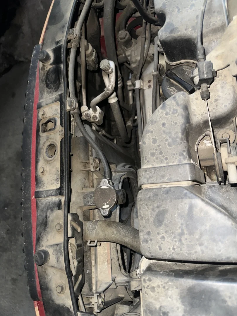 Foto de RADIADOR AGUA KIA PICANTO (SA) 1.1 CAT (65 CV / 48 KW) referencia 2531007011
