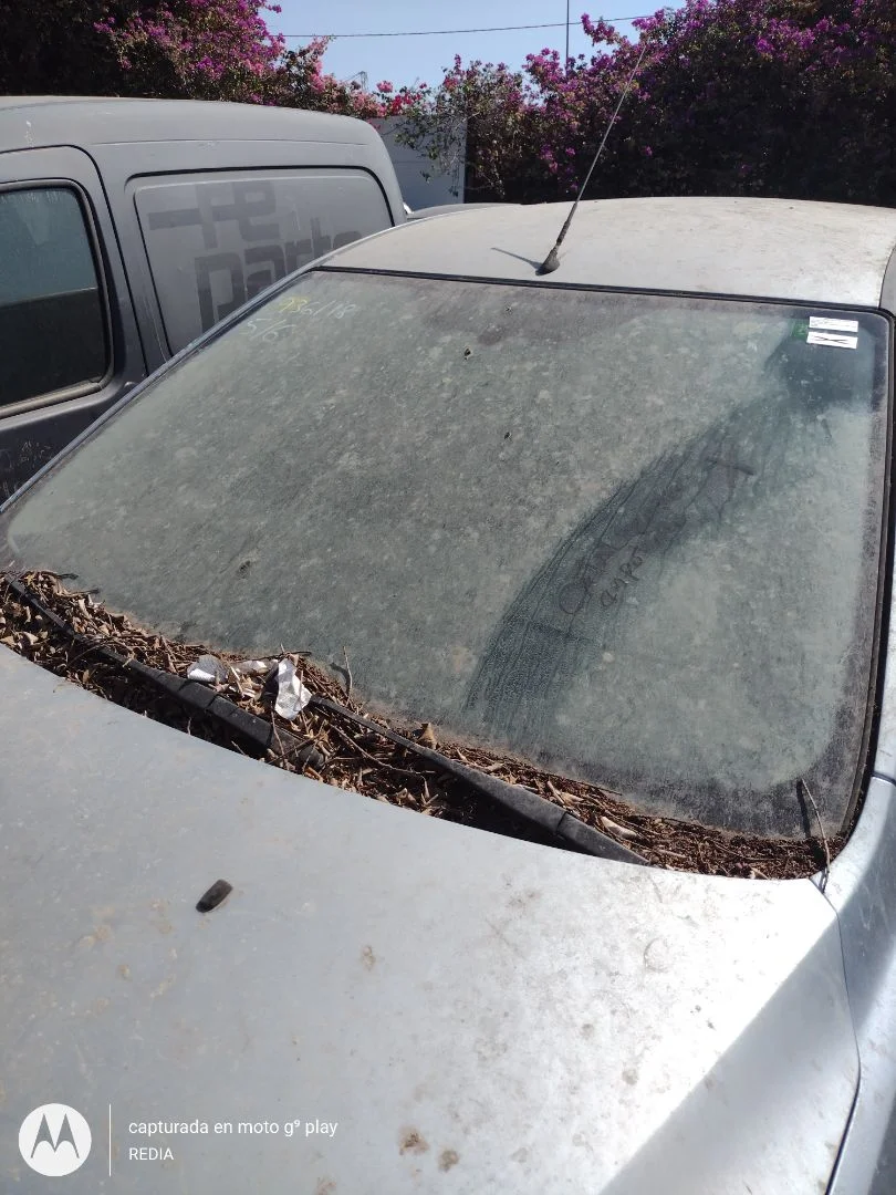 Foto de PARABRISAS FORD FOCUS BERLINA (CAP) 1.8 Flexifuel CAT (125 CV / 92 KW) referencia 2551999