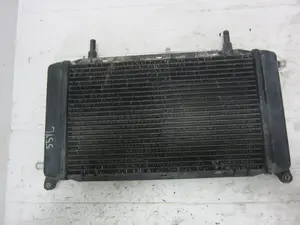 Foto de RADIADOR AGUA JAGUAR XJ 4.0 CAT (320 CV / 235 KW) referencia CCC5918 foto 4