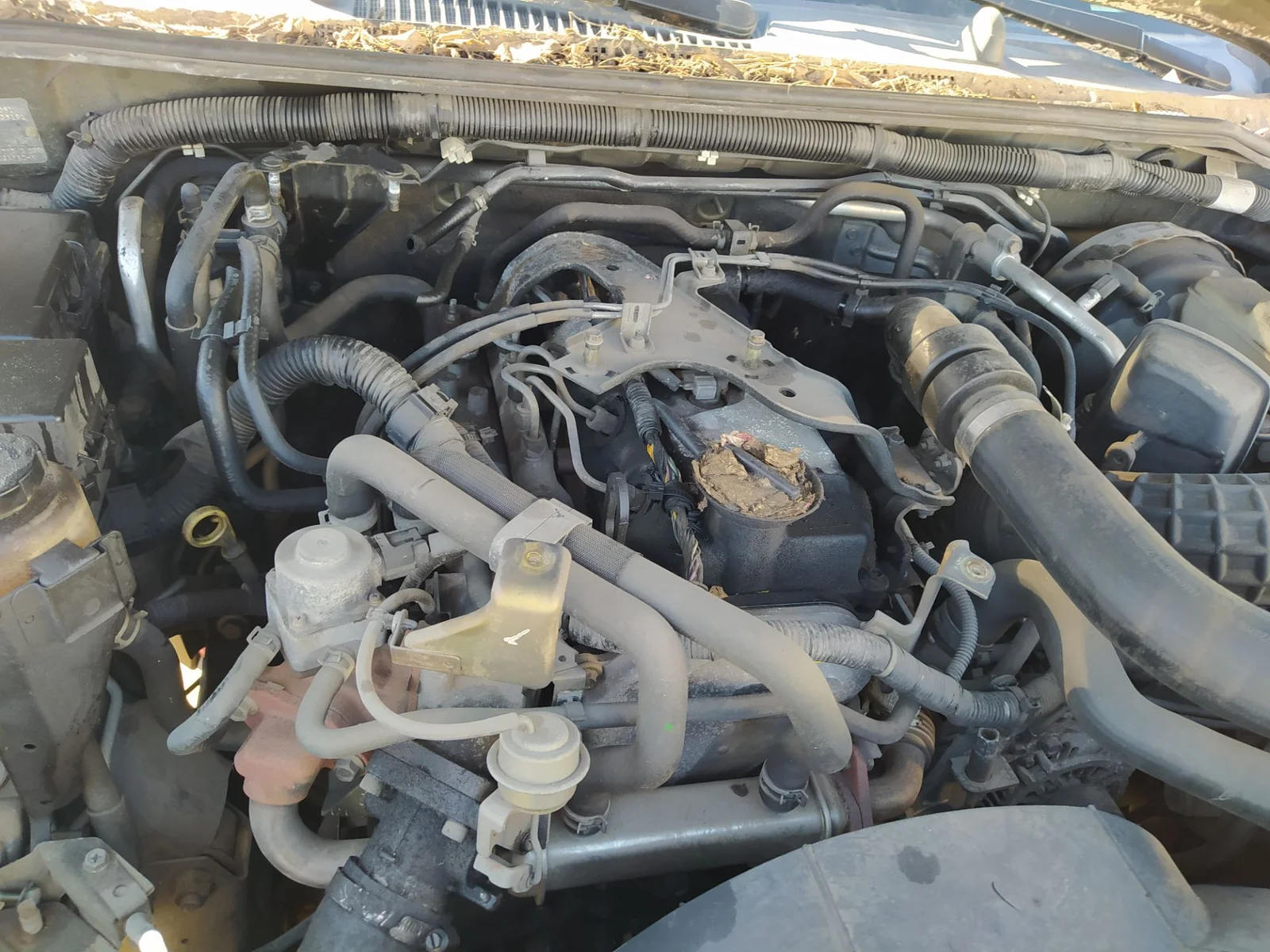 Foto de MOTOR LIMPIA DELANTERO NISSAN PATHFINDER (R51) 2.5 dCi Diesel CAT (190 CV / 140 KW) referencia 28815EB400