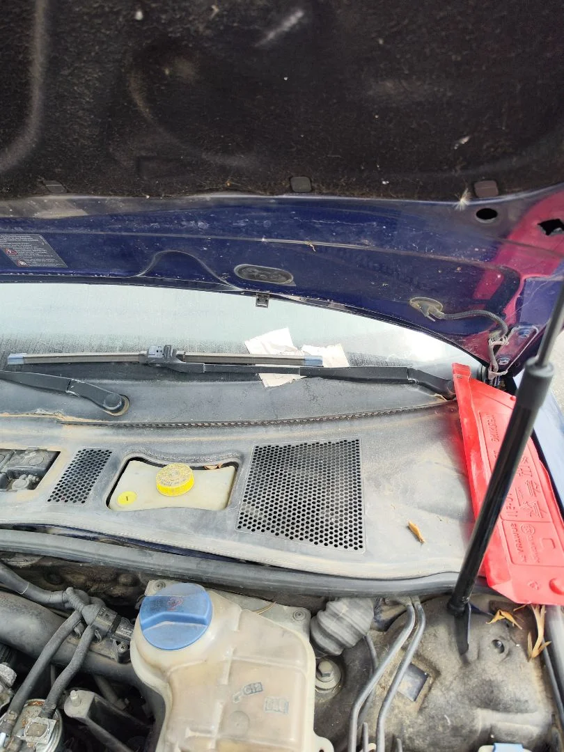 Foto de BRAZO LIMPIA DELANTERO IZQUIERDO VOLKSWAGEN PASSAT BERLINA (3B3) 1.9 TDI (131 CV / 96 KW) referencia 3B1955409C