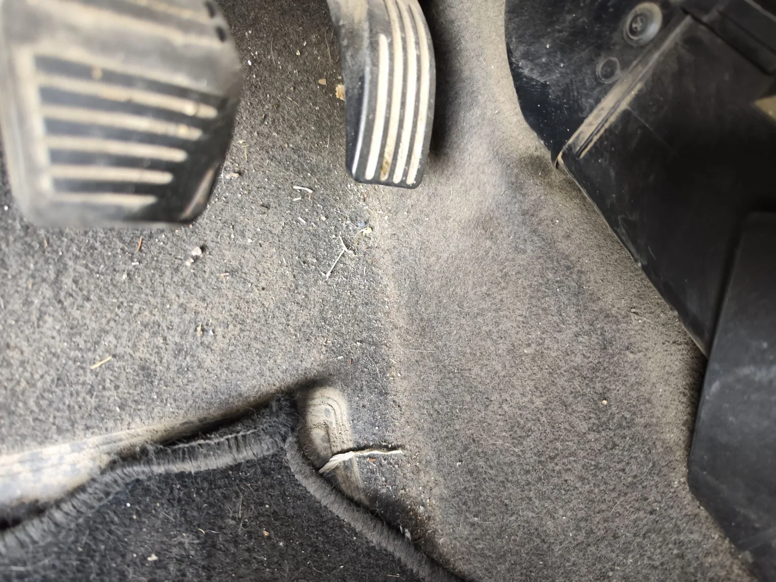 Foto de POTENCIOMETRO PEDAL FORD FOCUS BERLINA (CAK) 1.6 16V CAT (101 CV / 74 KW)