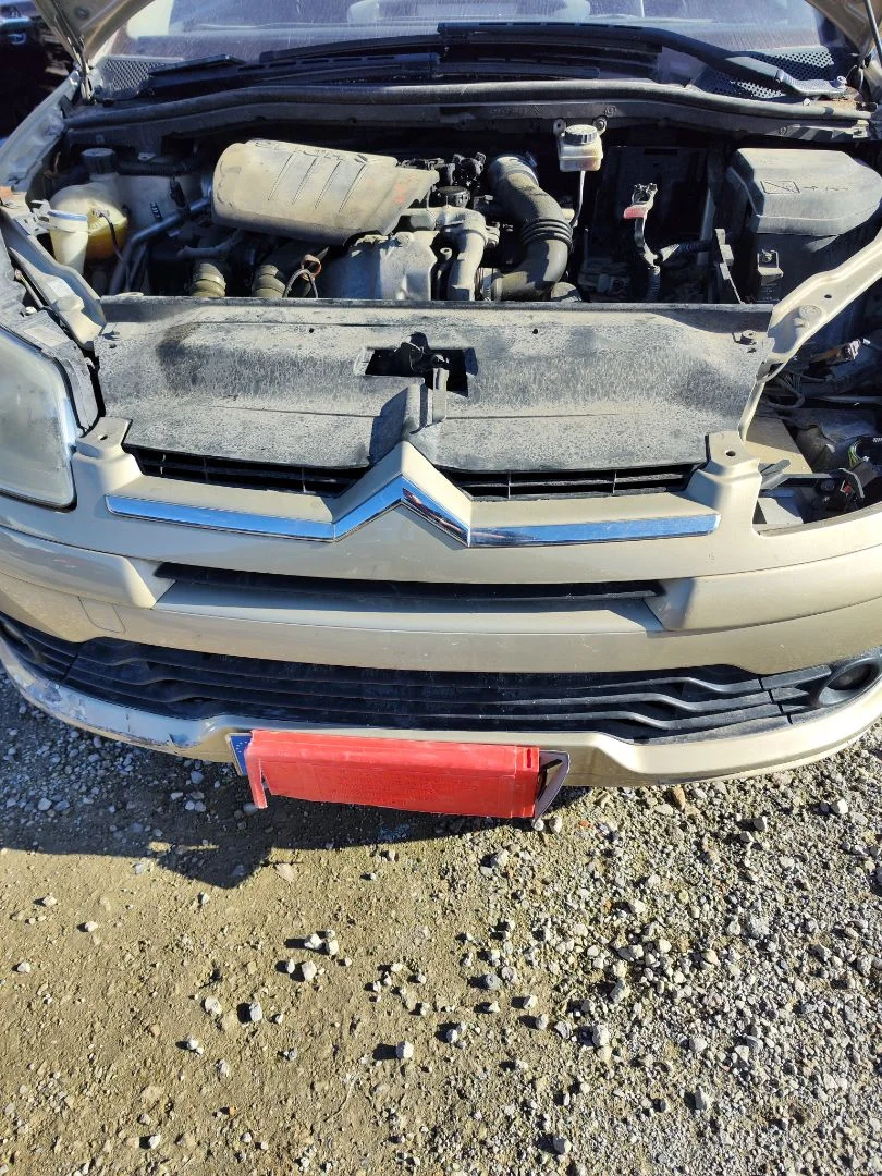 Foto de REJILLA DELANTERA CITROEN C4 BERLINA 1.6 16V HDi (90 CV / 66 KW)