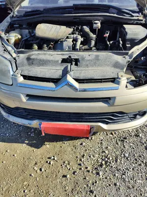 Foto de REJILLA DELANTERA CITROEN C4 BERLINA 1.6 16V HDi (90 CV / 66 KW)