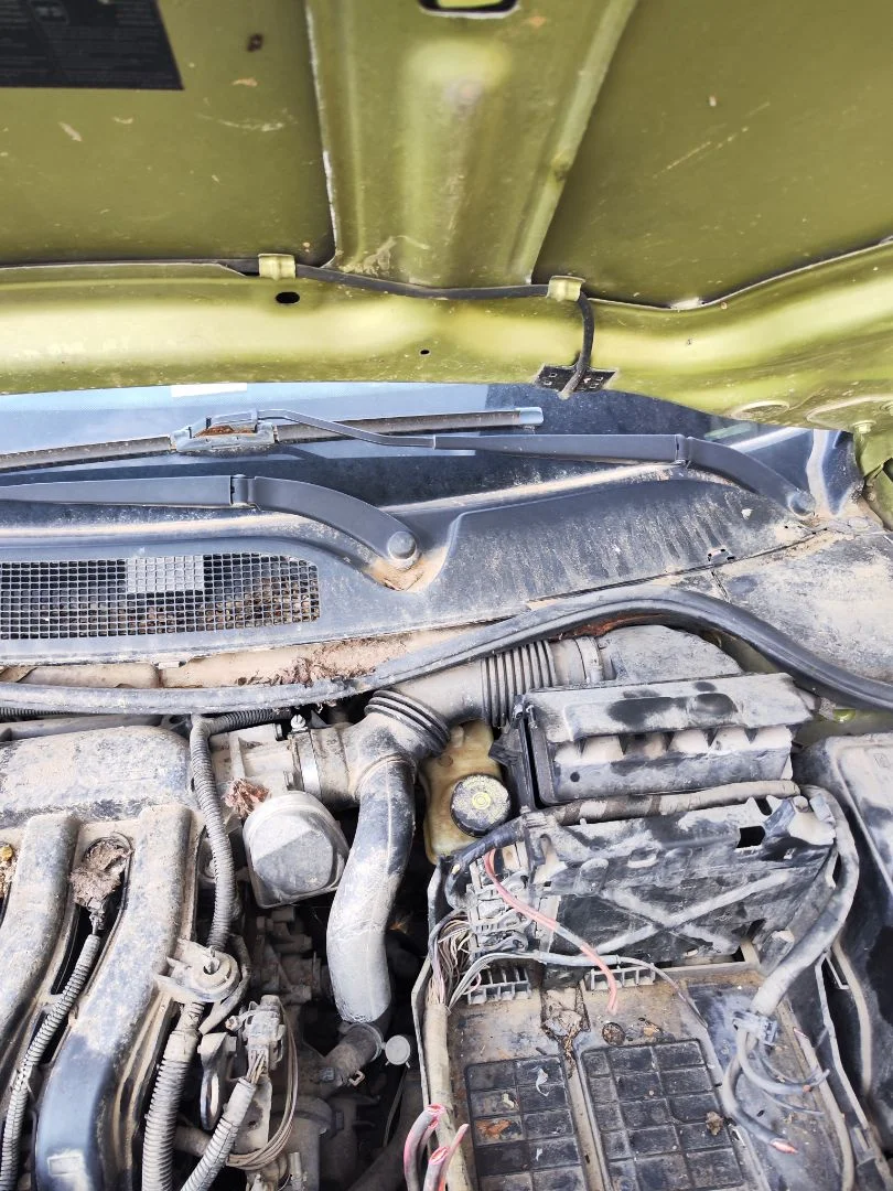 Foto de MOTOR LIMPIA DELANTERO RENAULT MEGANE II BERLINA 5P 1.6 CAT (113 CV / 83 KW) referencia 7701054828