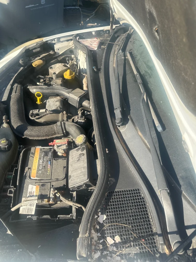 Foto de TORPEDO RENAULT CLIO III 1.5 dCi Diesel (68 CV / 50 KW)