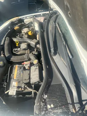 Foto de TORPEDO RENAULT CLIO III 1.5 dCi Diesel (68 CV / 50 KW)