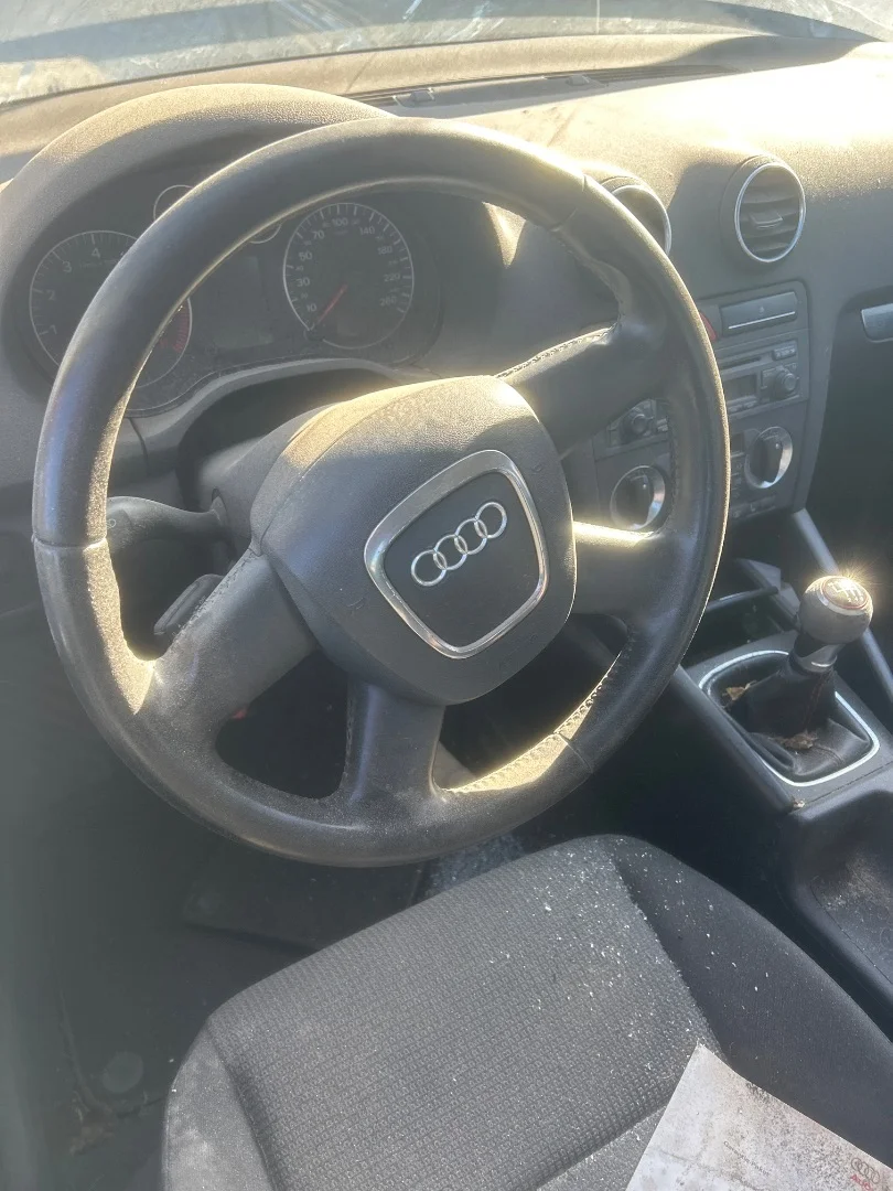 Foto de VOLANTE AUDI A3 (8P1) 2.0 TDI (140 CV / 103 KW) referencia 8P0419091CDFKZ