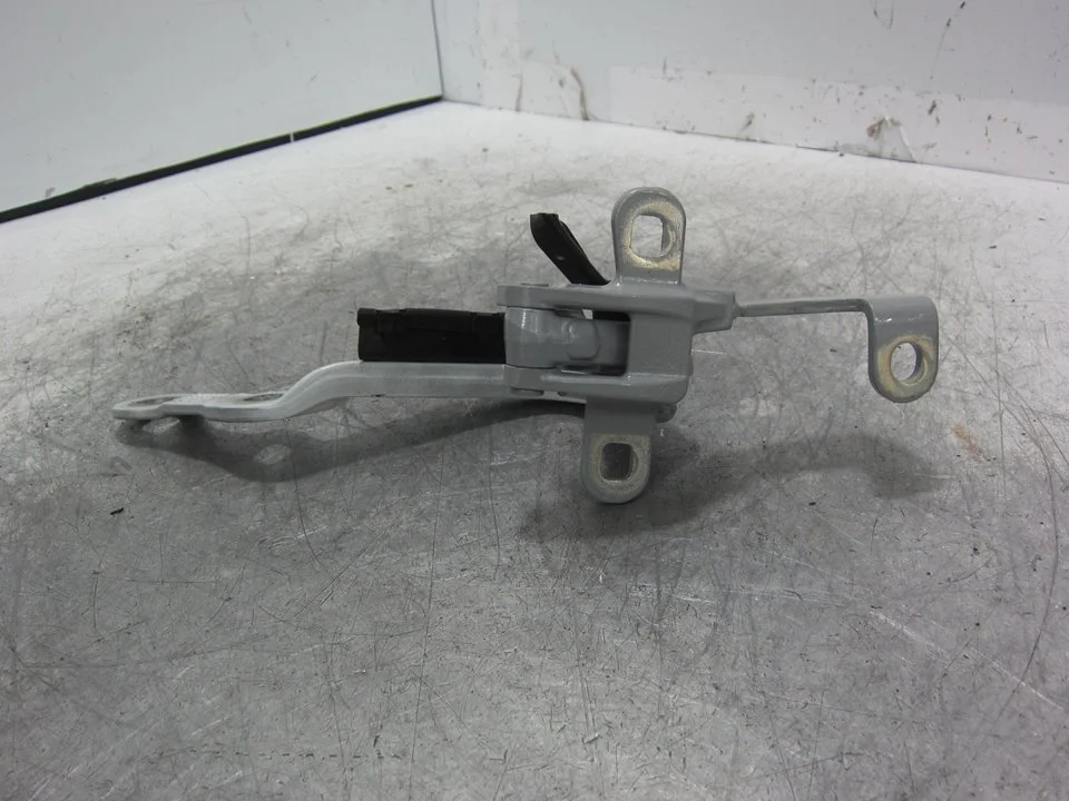 Foto de BISAGRA PUERTA BMW SERIE X3 (G01) 3.0 24V Turbodiesel (265 CV / 195 KW) referencia 7397316