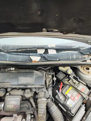 Foto de BRAZO LIMPIA DELANTERO IZQUIERDO FORD FIESTA (CBK) 1.4 TDCi CAT (68 CV / 50 KW) referencia 1778498 foto 3