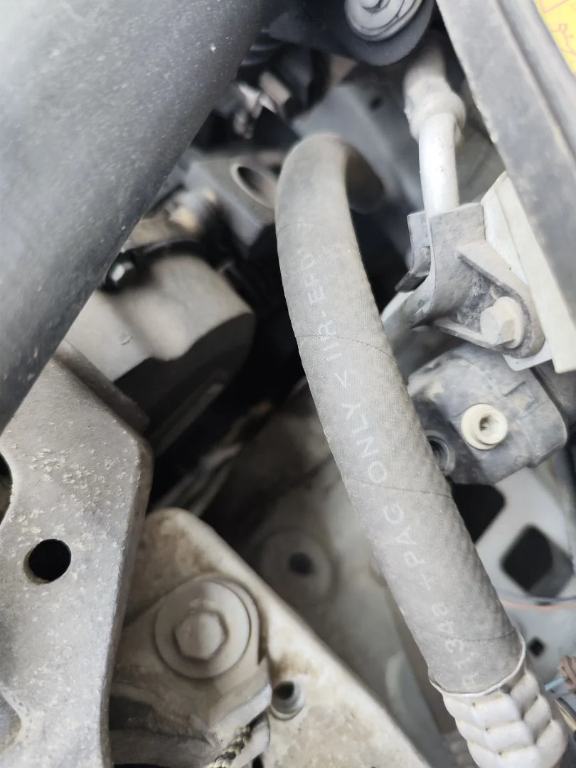 Foto de CLAXON RENAULT KANGOO I (F/KC0) 1.9 dCi Diesel CAT (84 CV / 62 KW) referencia 7700425726