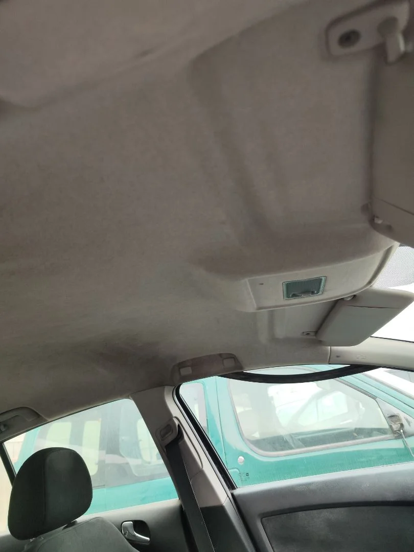 Foto de TECHO INTERIOR OPEL CORSA D 1.3 16V CDTI (75 CV / 55 KW)