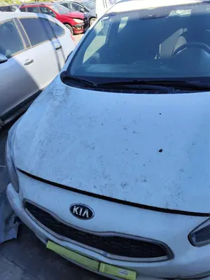 Foto de CAPO KIA CEED (JD) 1.4 CAT (99 CV / 73 KW) foto 5