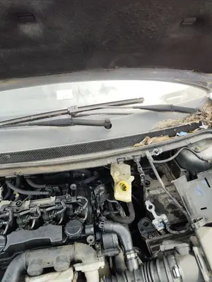 Foto de MOTOR LIMPIA DELANTERO FORD FOCUS BERLINA (CAP) 1.6 TDCi CAT (90 CV / 66 KW) referencia 1704578